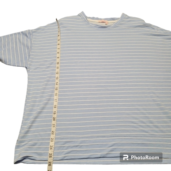 Fresh Produce Blue and White Striped Crewneck Drop Shoulder Casual Top XL/XXL - Picture 5 of 7
